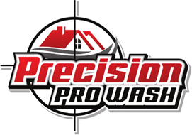 Precision Pro Wash