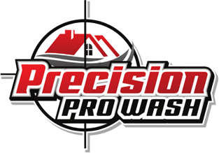 Precision Pro Wash