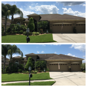 roof cleaning spring hill fl