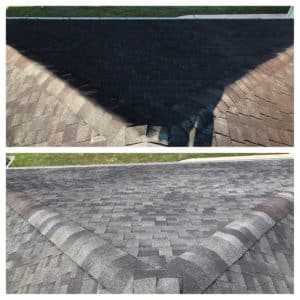 roof cleaning spring hill fl