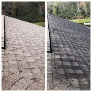 roof cleaning Brooksville